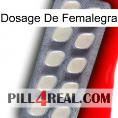 Femalegra Dosage 08